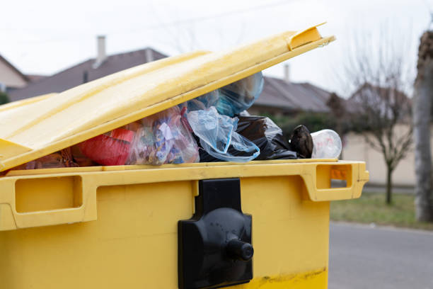 Best Dumpster Rental Services  in Apple Mountain Lake, VA